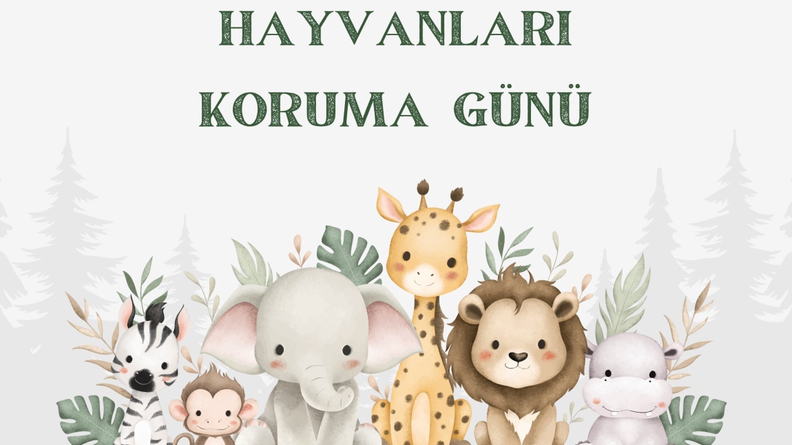 HAYVANLARI KORUMA GÜNÜ ETKİNLİKLERİMİZ